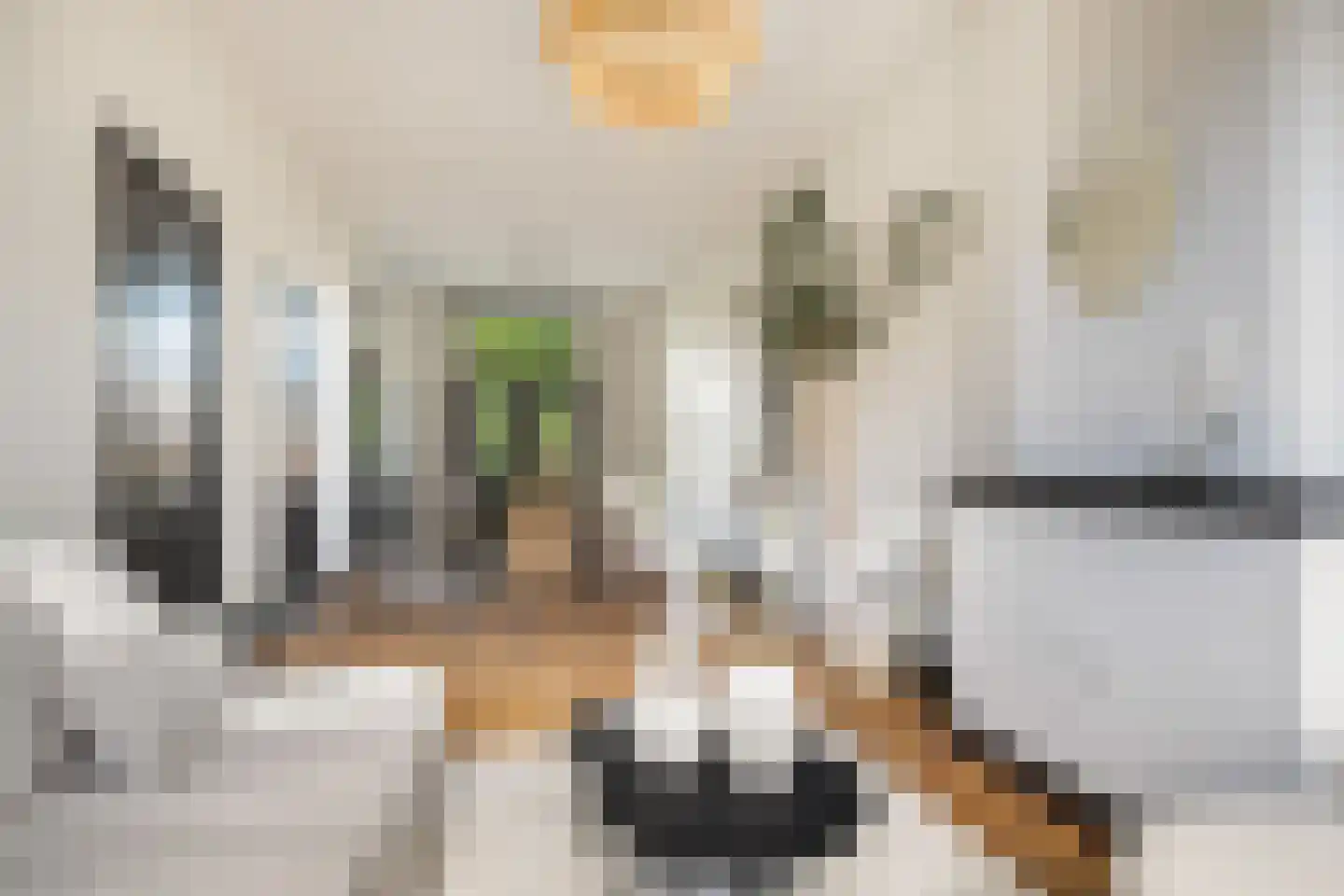 Kwartelstraat 48 Utrecht thumbnail 14