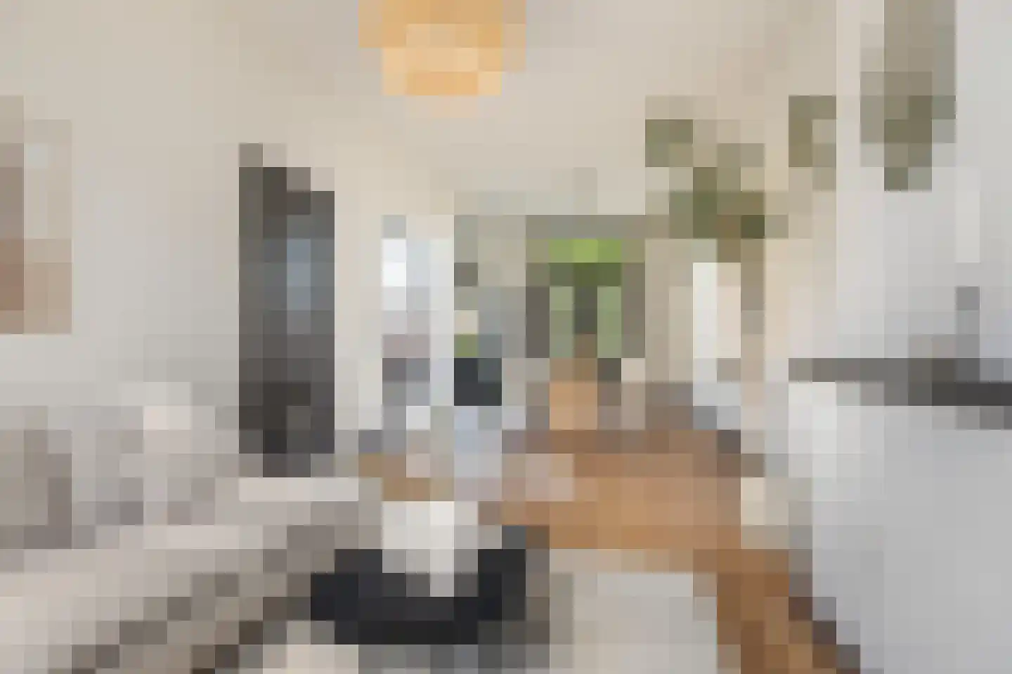 Kwartelstraat 48 Utrecht thumbnail 15