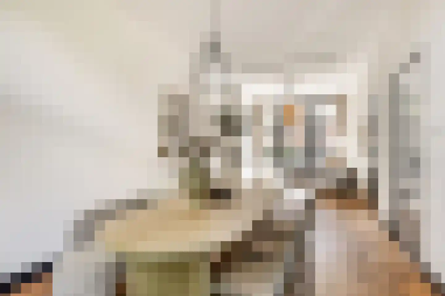 Kwartelstraat 48 Utrecht thumbnail 16