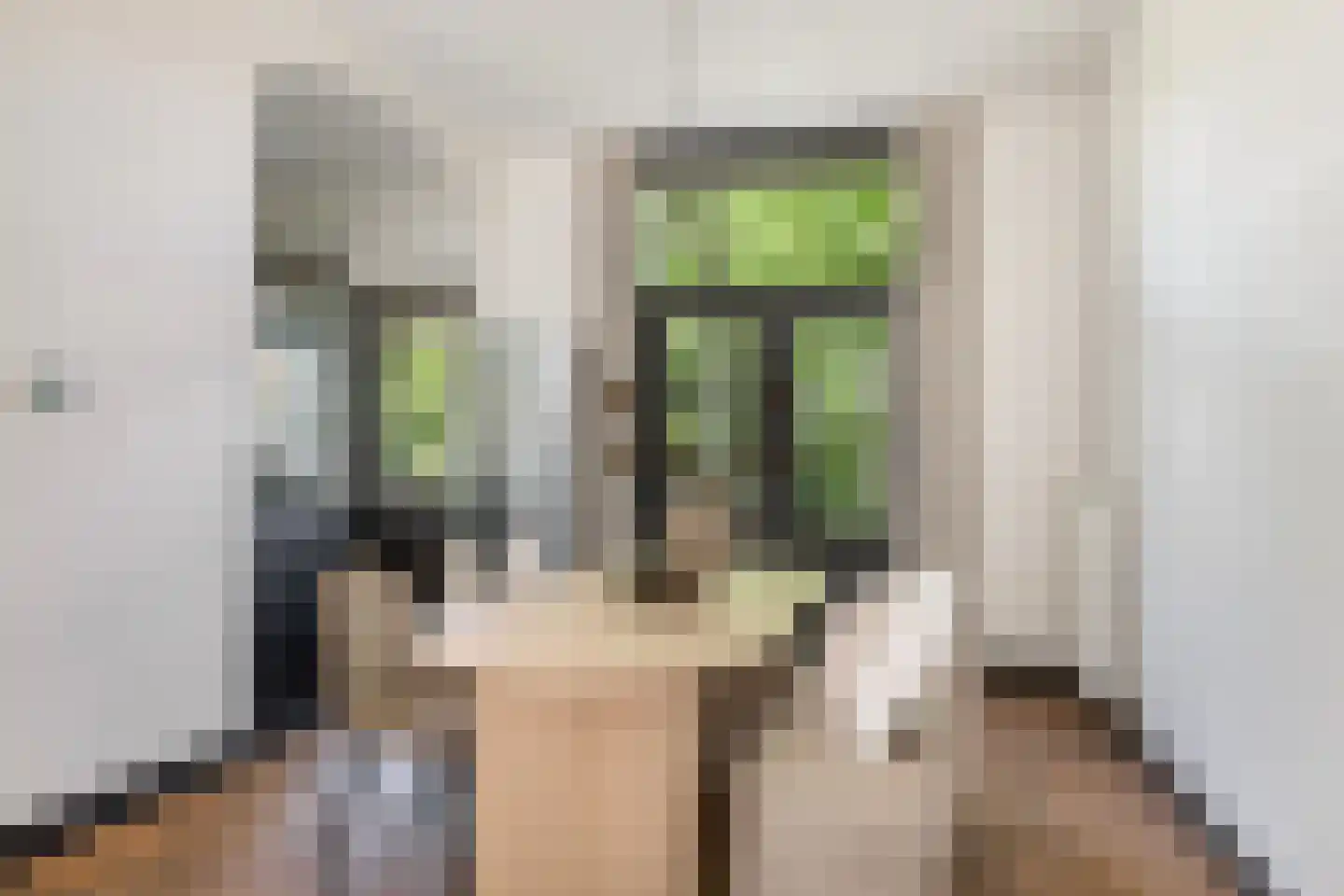 Kwartelstraat 48 Utrecht thumbnail 17