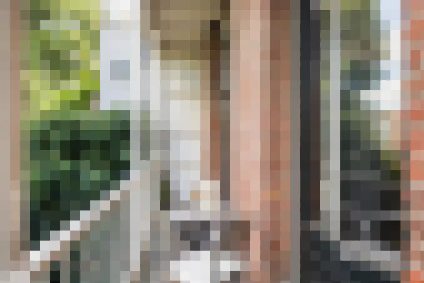 Kwartelstraat 48 Utrecht thumbnail 27