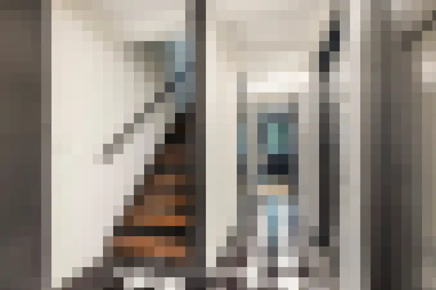 Kwartelstraat 48 Utrecht thumbnail 29