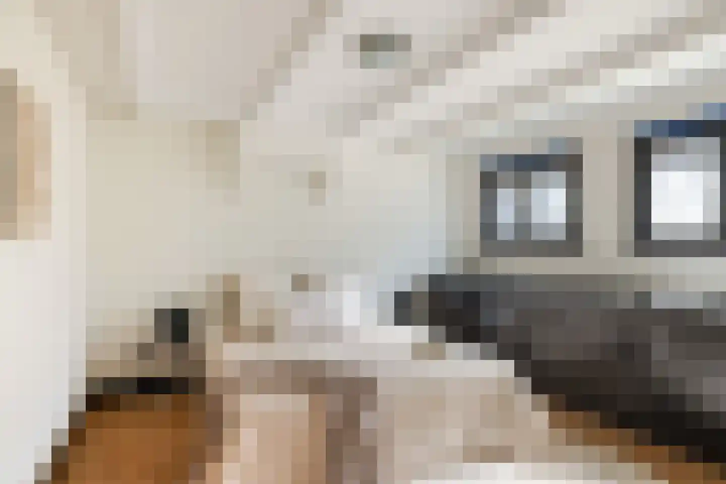 Kwartelstraat 48 Utrecht thumbnail 32