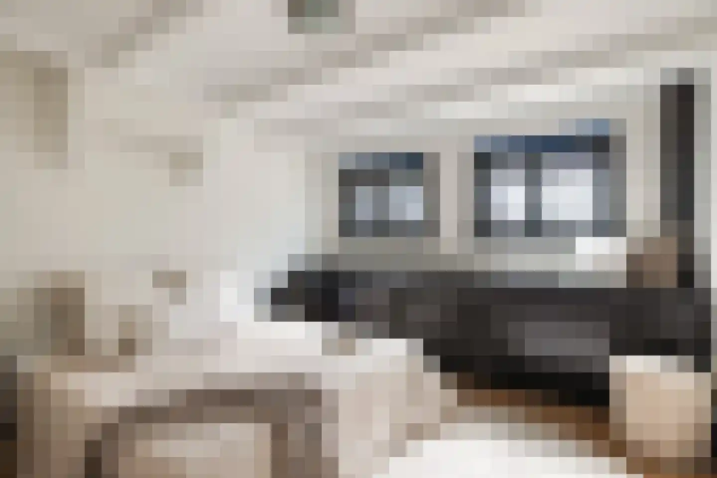 Kwartelstraat 48 Utrecht thumbnail 33