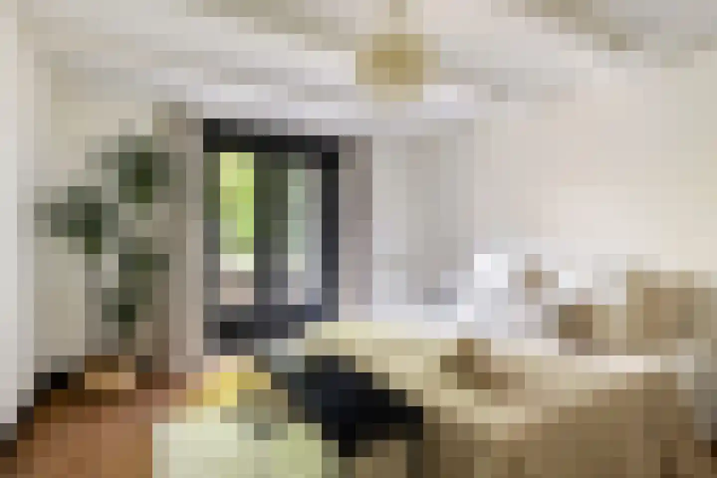 Kwartelstraat 48 Utrecht thumbnail 37