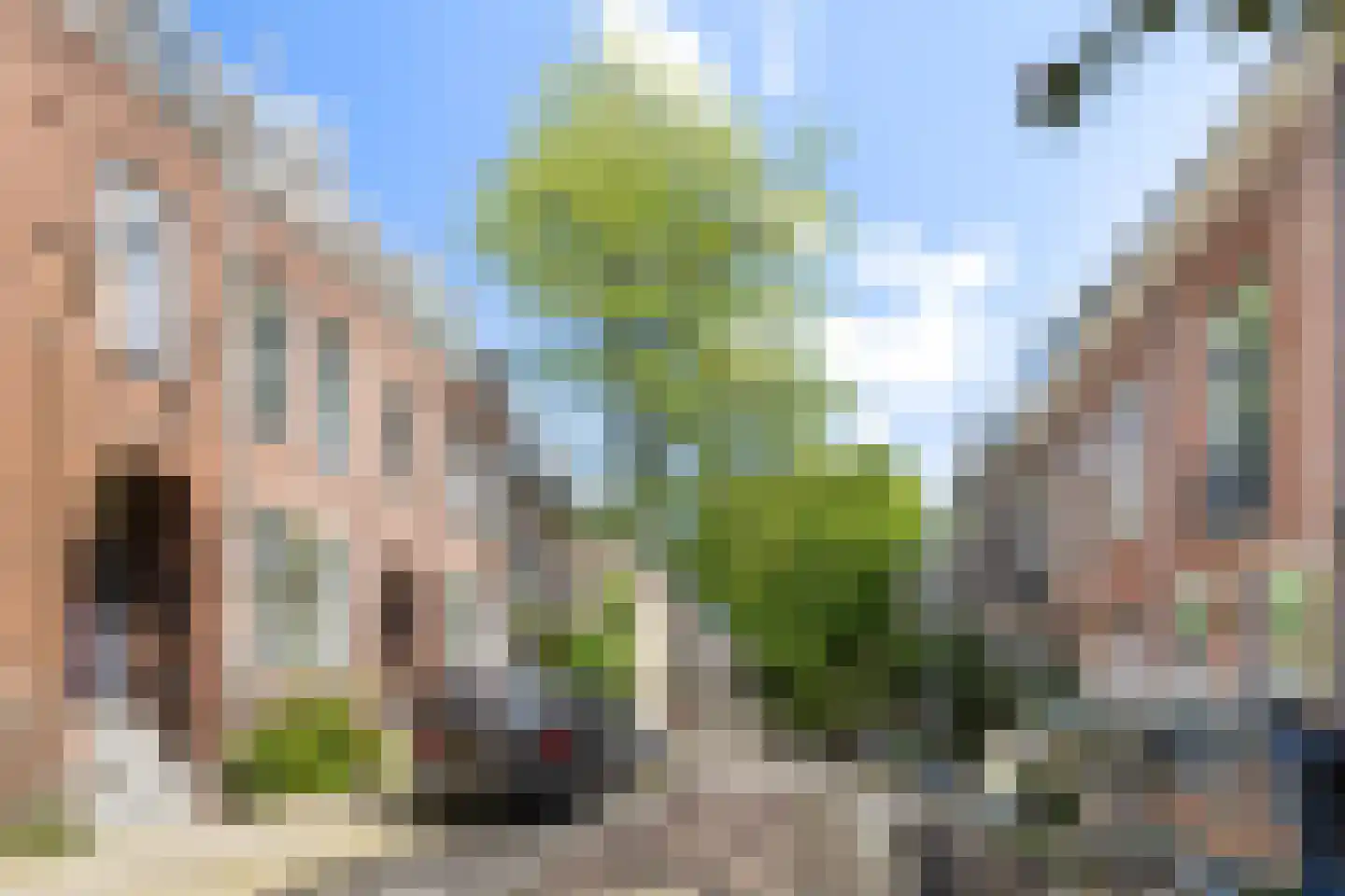 Kwartelstraat 48 Utrecht thumbnail 4