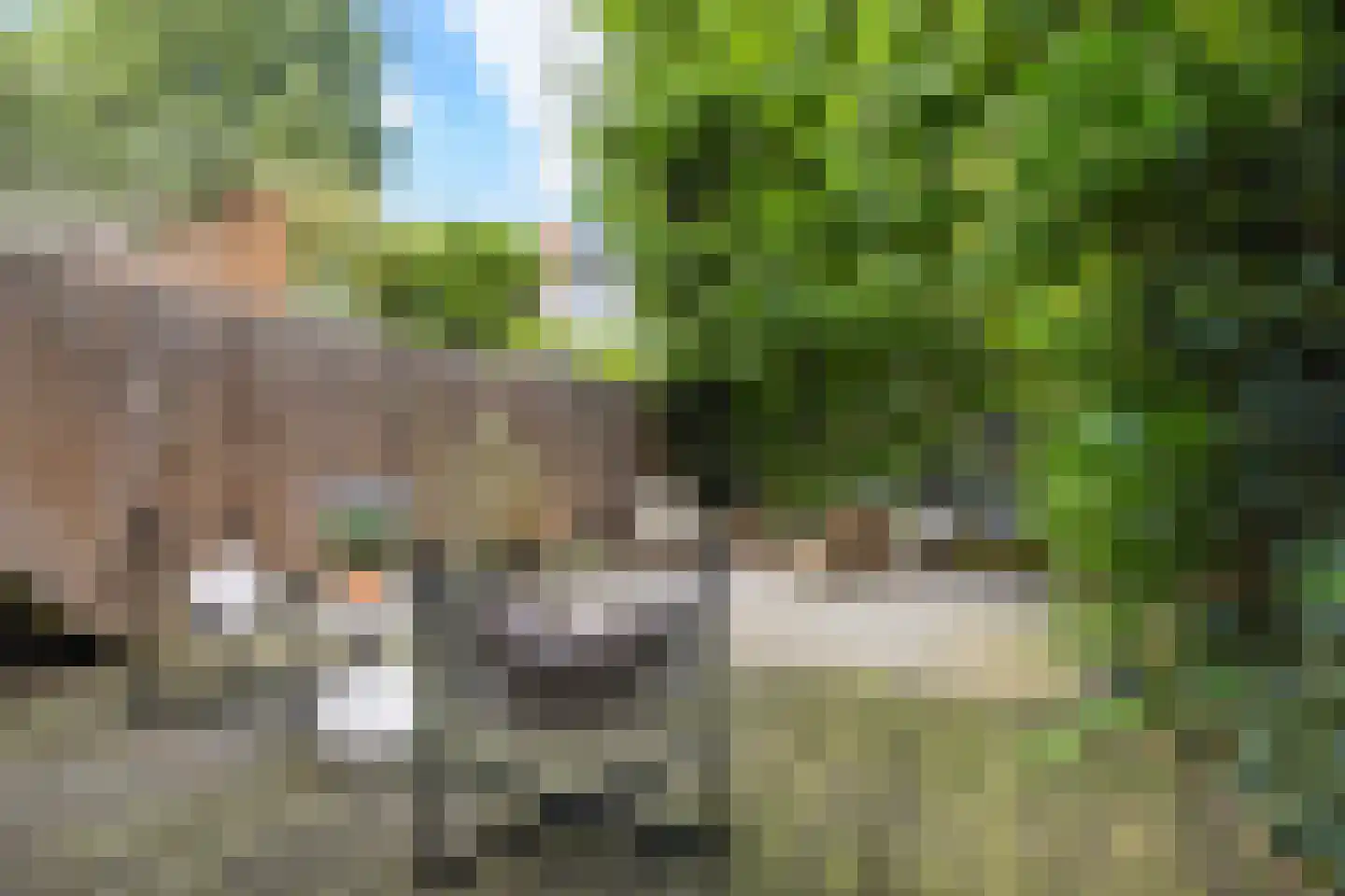 Kwartelstraat 48 Utrecht thumbnail 40