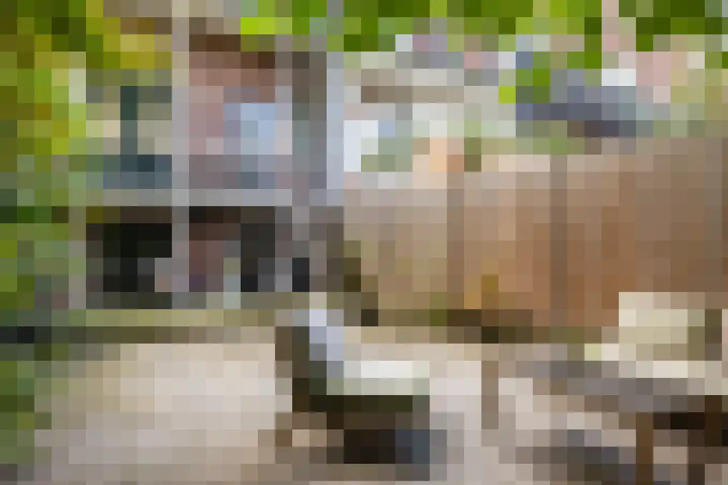 Kwartelstraat 48 Utrecht thumbnail 45
