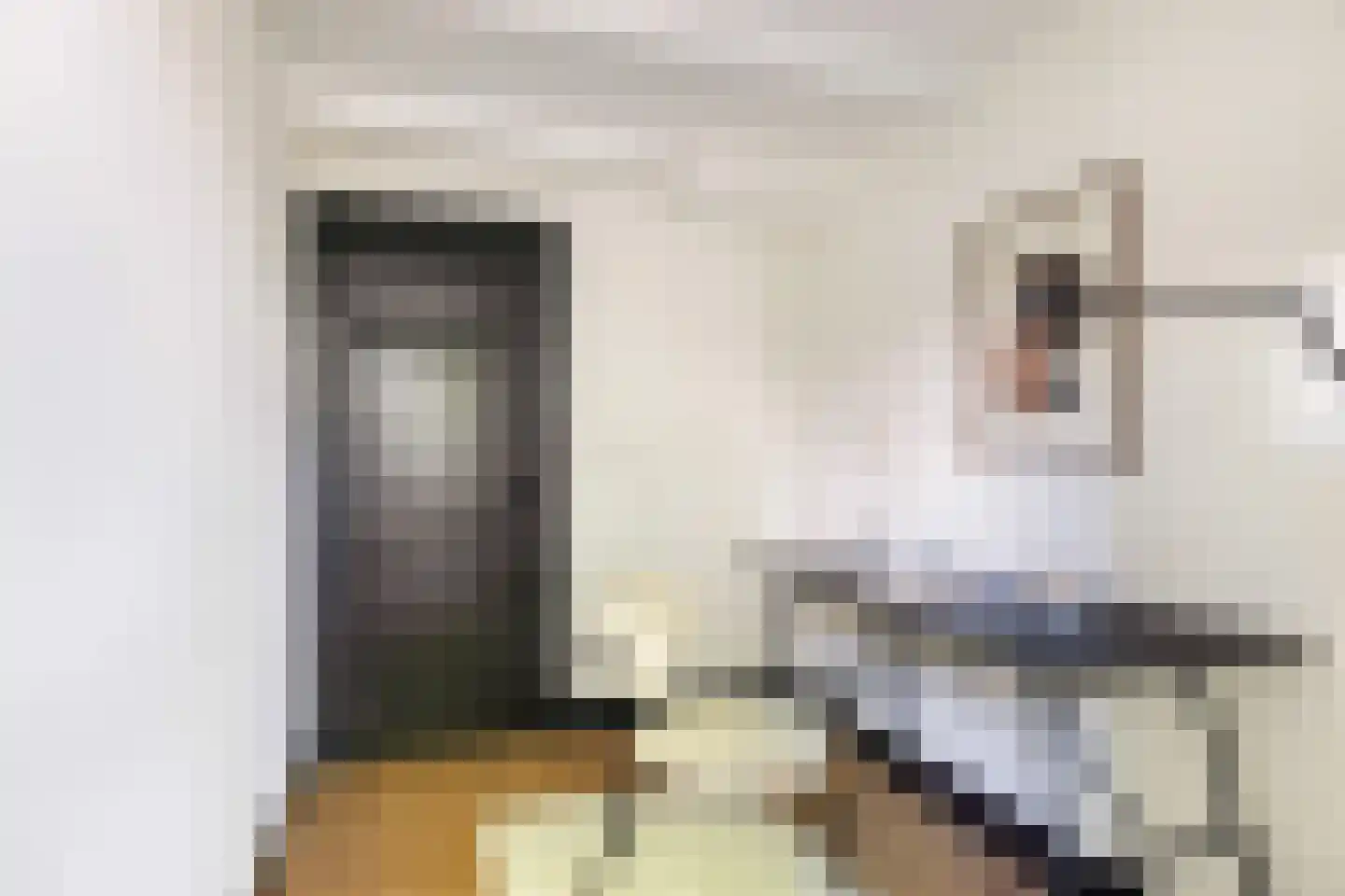 Kwartelstraat 48 Utrecht thumbnail 50