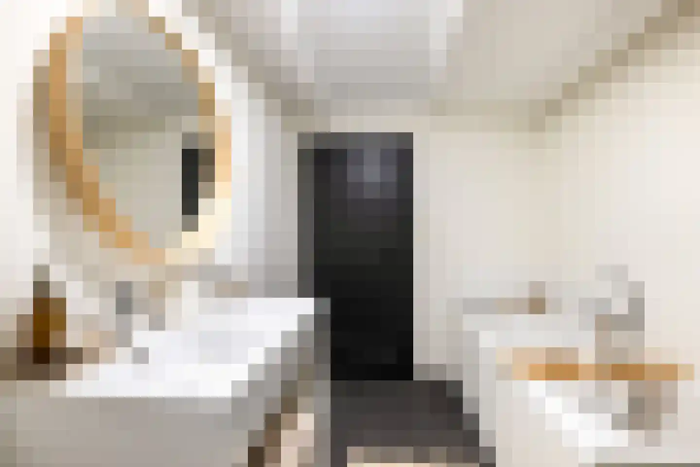 Kwartelstraat 48 Utrecht thumbnail 52