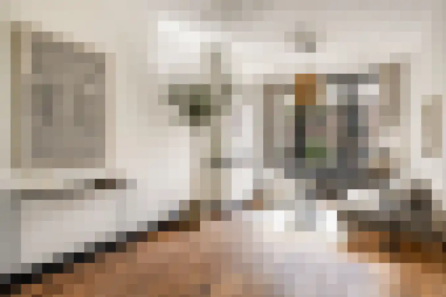 Kwartelstraat 48 Utrecht thumbnail 9