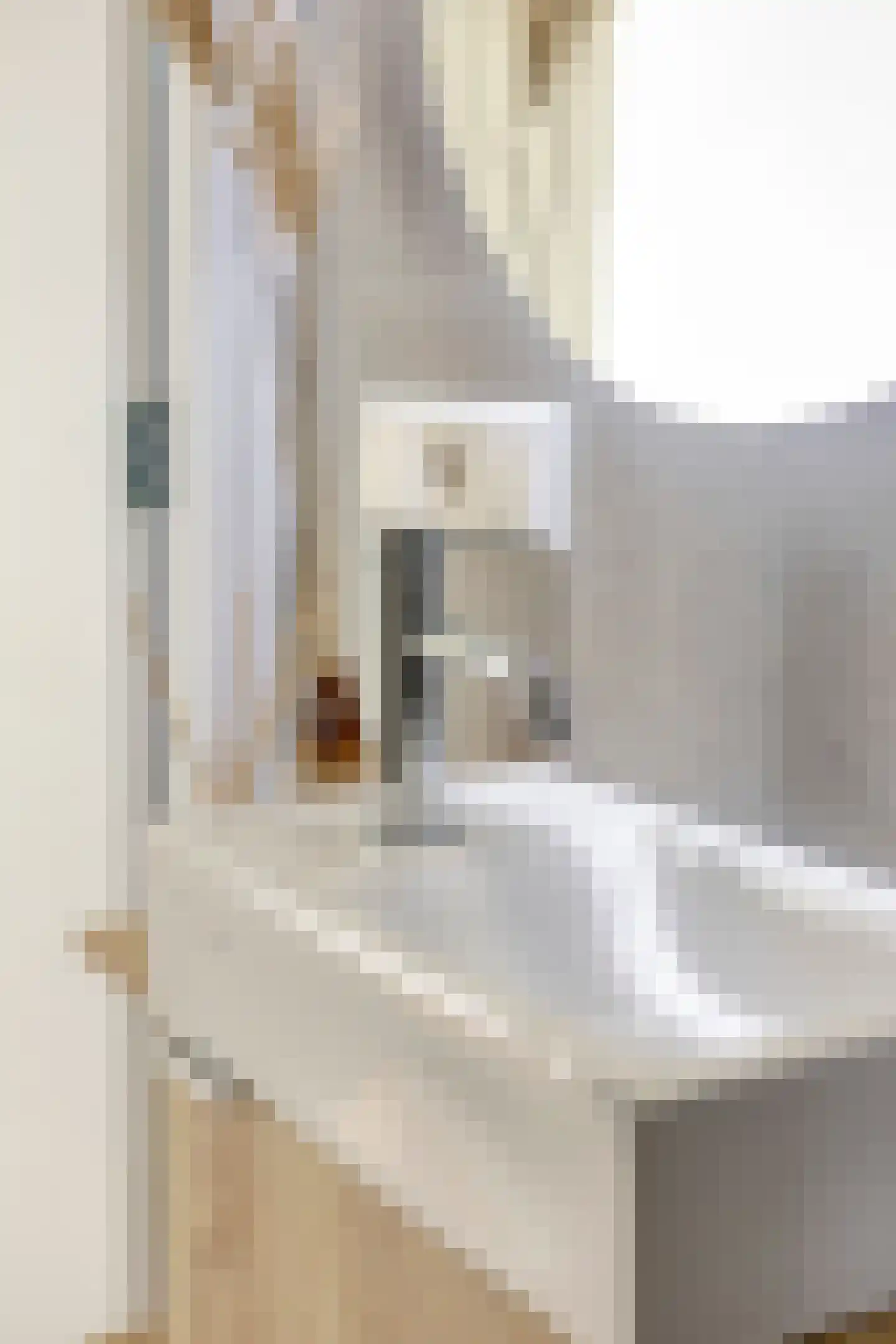 Kwartelstraat 5 C Rotterdam thumbnail 23