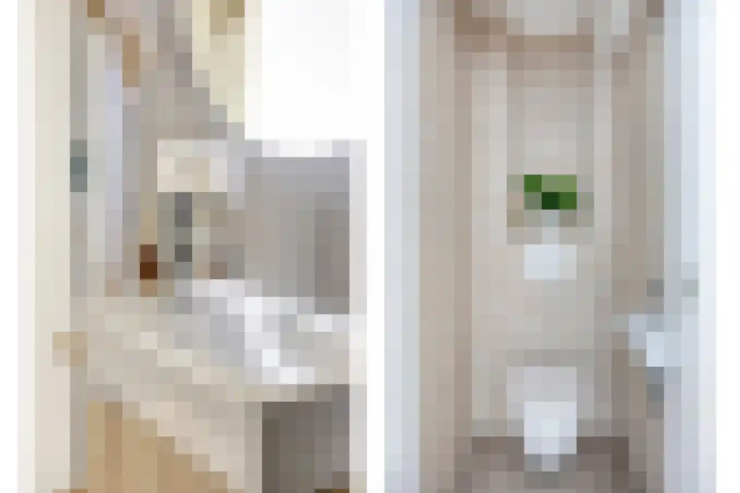 Kwartelstraat 5 C Rotterdam thumbnail 35