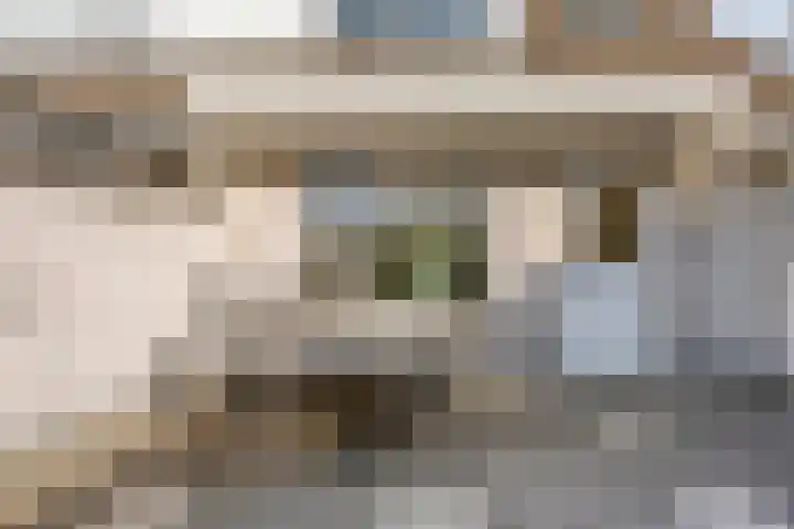 Kwartelstraat 5 Haaksbergen thumbnail 23