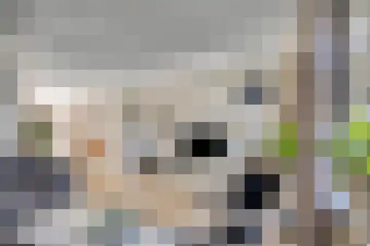 Kwartelstraat 5 Haaksbergen thumbnail 6
