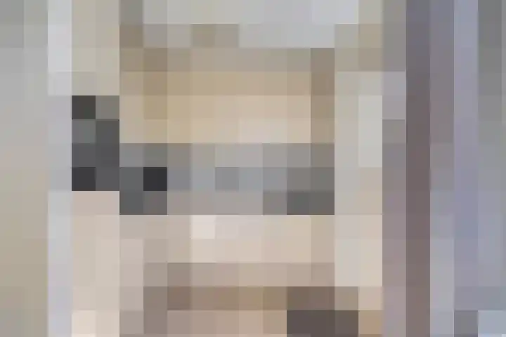 Kwartelstraat 5 Haaksbergen thumbnail 8