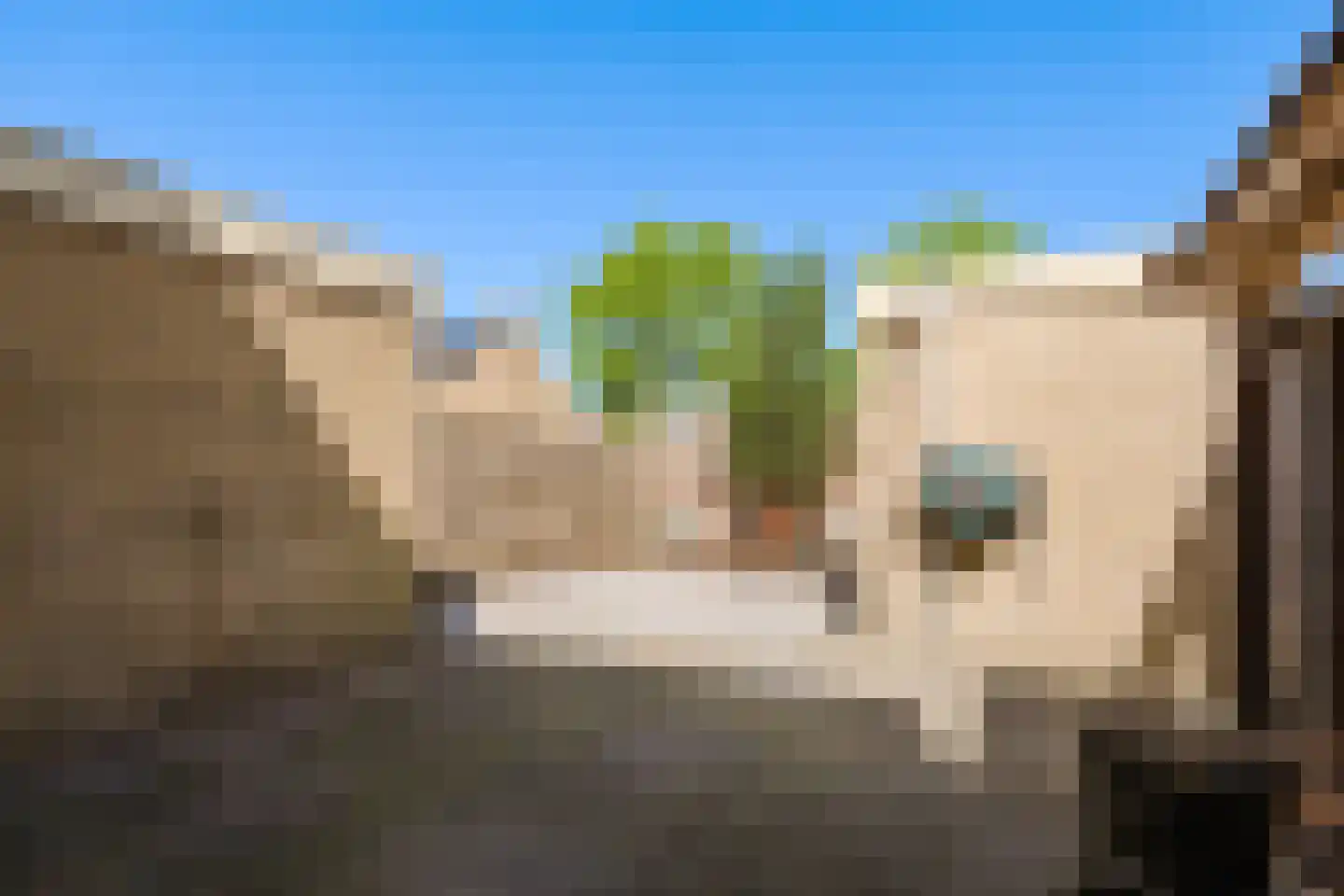 Kwartelstraat 53 Heerenveen thumbnail 34