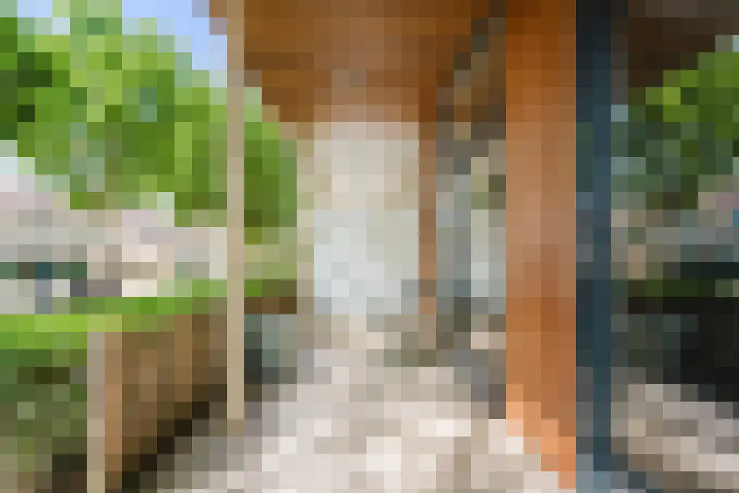 Kwartelstraat 53 Heerenveen thumbnail 7