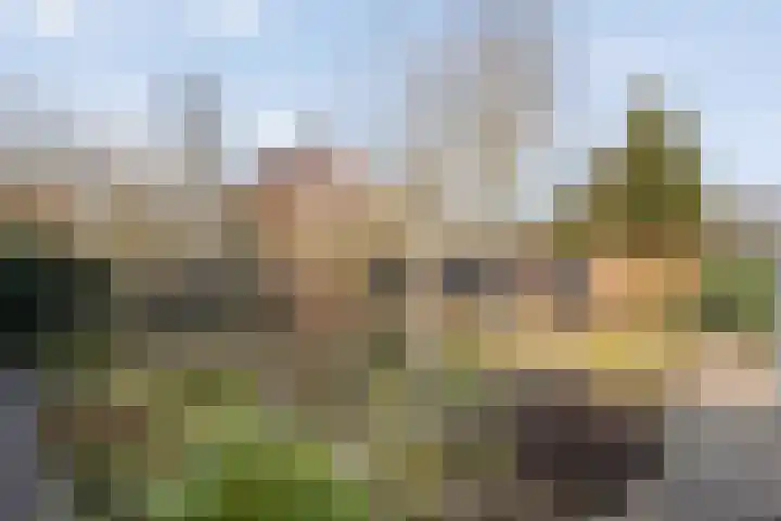 Kwartelstraat 6 Ommen thumbnail 23
