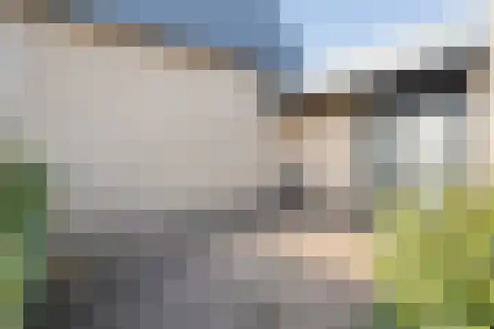 Kwartelstraat 6 Ommen thumbnail 25