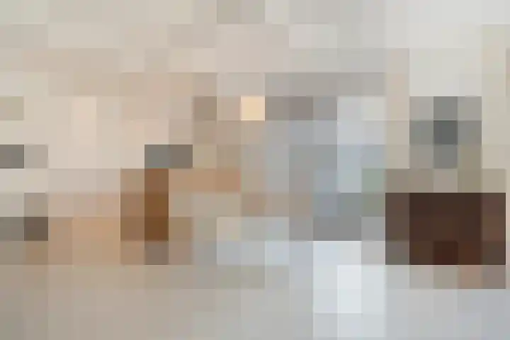 Kwartelstraat 6 Ommen thumbnail 6