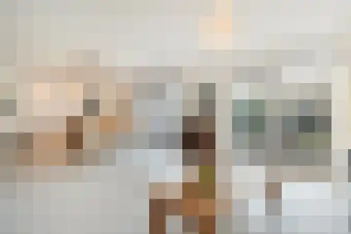 Kwartelstraat 6 Ommen thumbnail 9