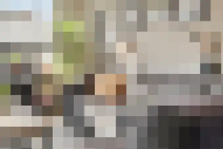 Kwartelstraat 60 Numansdorp thumbnail 10