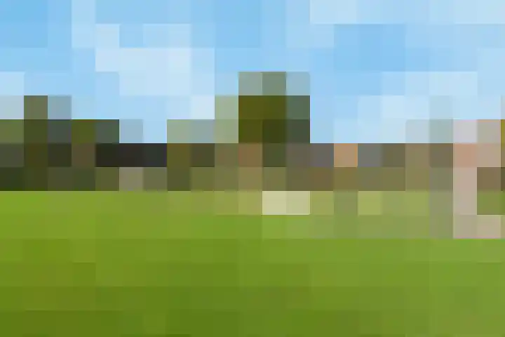 Kwartelstraat 60 Numansdorp thumbnail 40