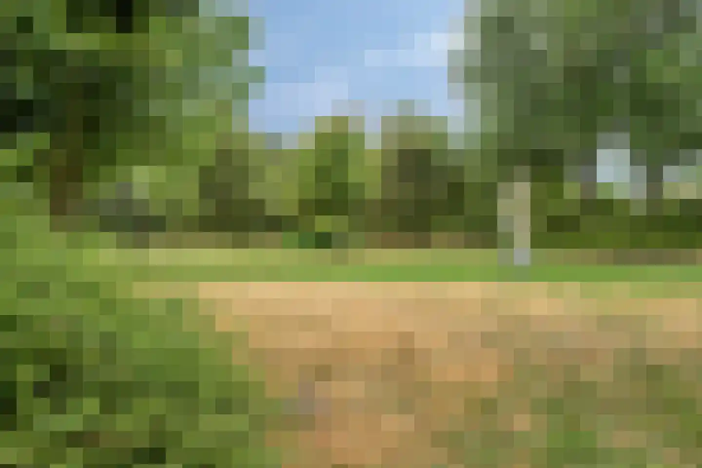 Kwartelstraat 7 Lisse thumbnail 24