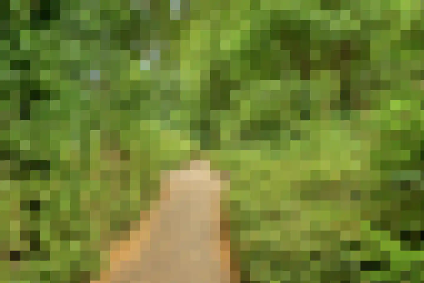 Kwartelstraat 7 Lisse thumbnail 25