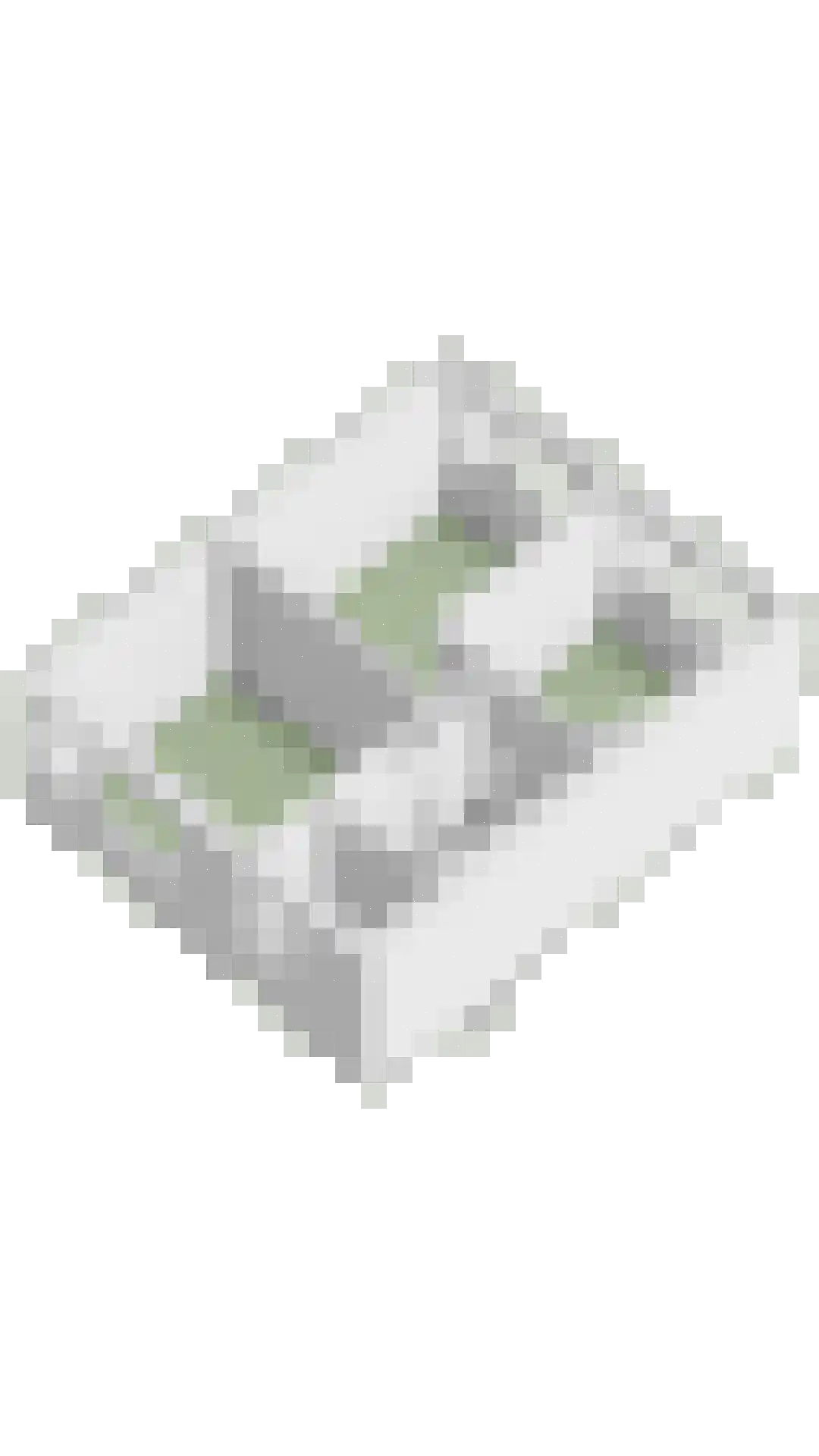 Kwartelstraat 7 Lisse thumbnail 33