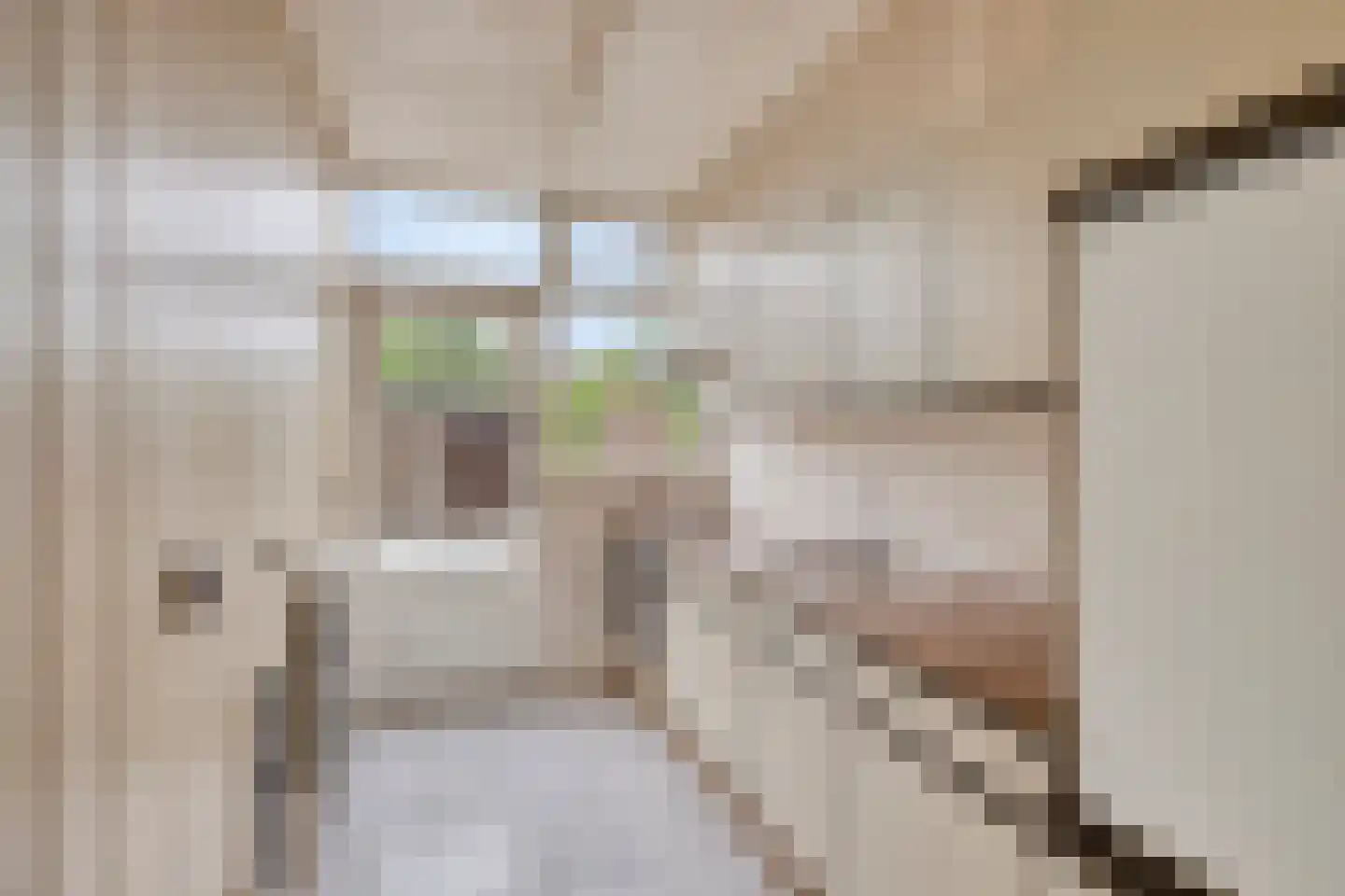 Kwartelstraat 7 Lisse thumbnail 6