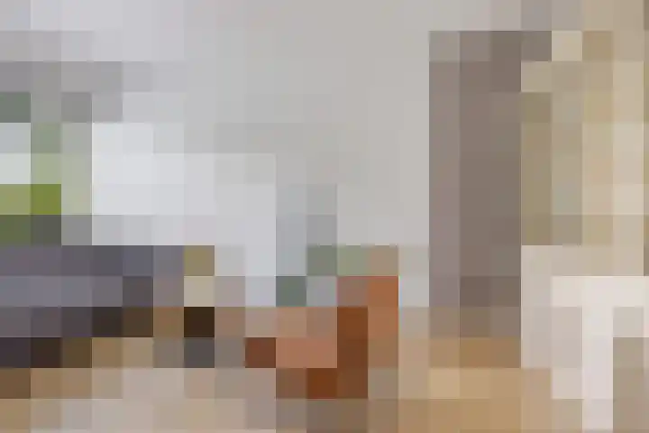 Kwartelstraat 7 Norg thumbnail 10