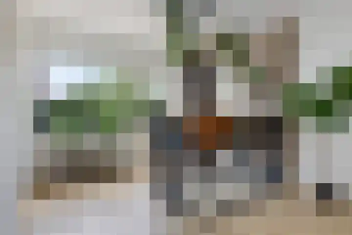 Kwartelstraat 7 Norg thumbnail 12