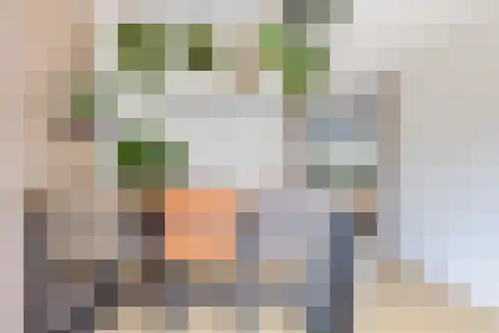 Kwartelstraat 7 Norg thumbnail 14