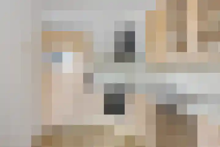 Kwartelstraat 7 Norg thumbnail 16