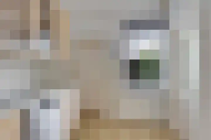 Kwartelstraat 7 Norg thumbnail 17