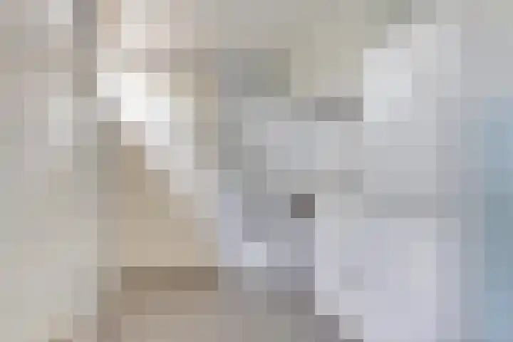 Kwartelstraat 7 Norg thumbnail 19