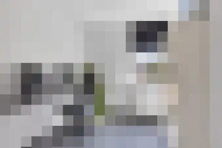 Kwartelstraat 7 Norg thumbnail 24