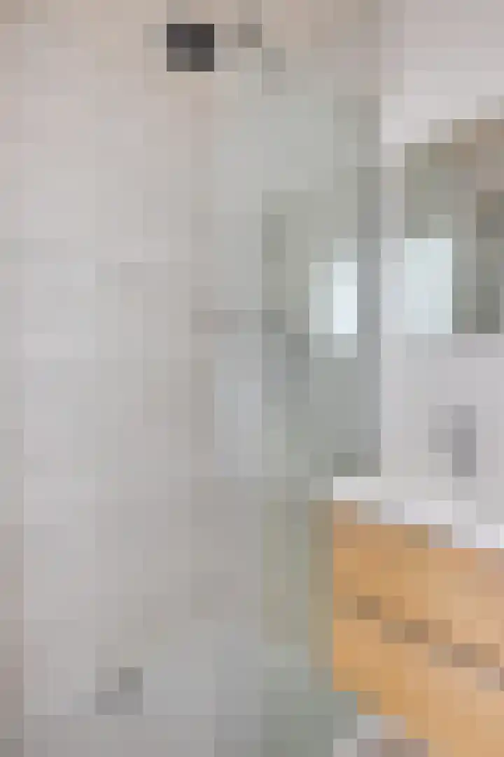 Kwartelstraat 7 Norg thumbnail 26