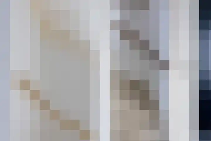 Kwartelstraat 7 Norg thumbnail 31