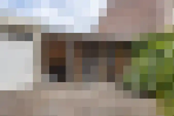 Kwartelstraat 7 Norg thumbnail 35