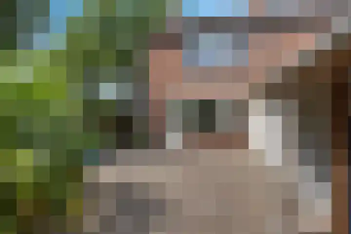 Kwartelstraat 7 Norg thumbnail 36