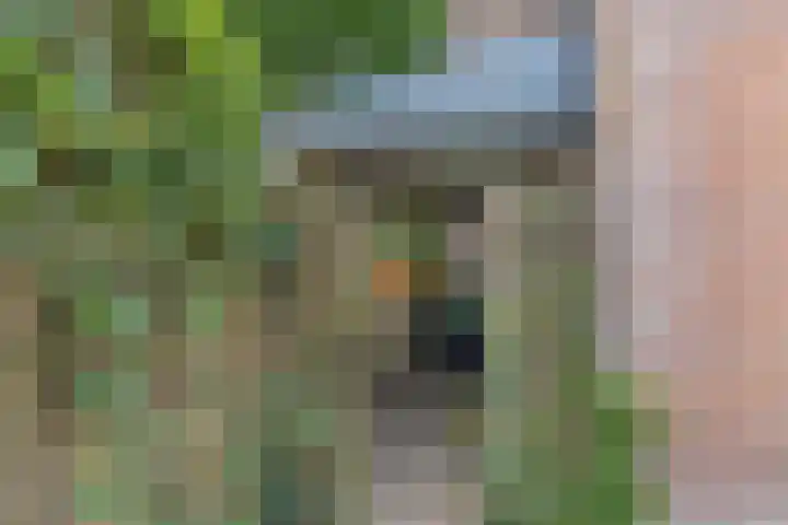Kwartelstraat 7 Norg thumbnail 38