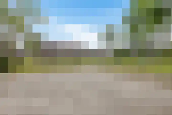 Kwartelstraat 7 Norg thumbnail 39