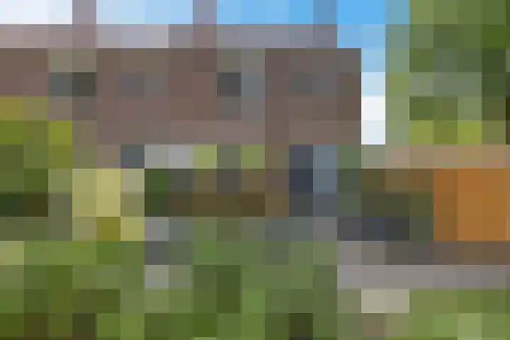 Kwartelstraat 7 Norg thumbnail 4
