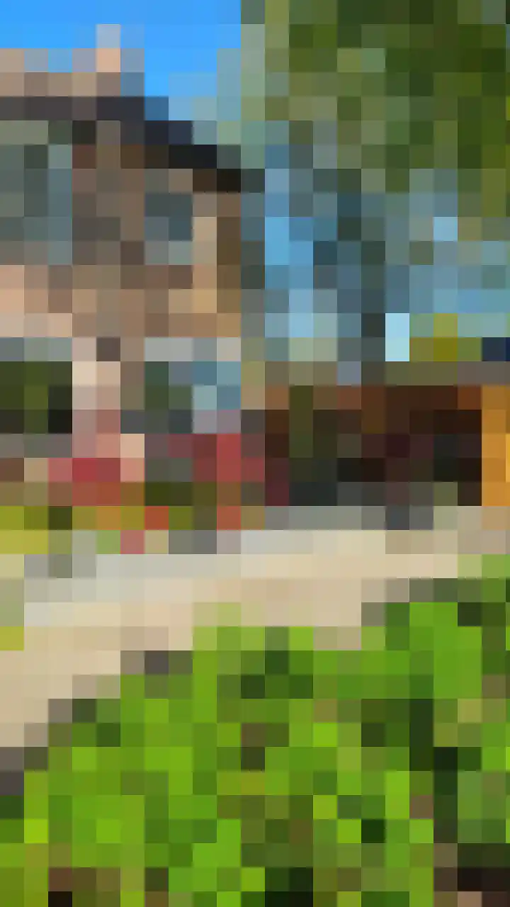 Kwartelstraat 7 Norg thumbnail 40