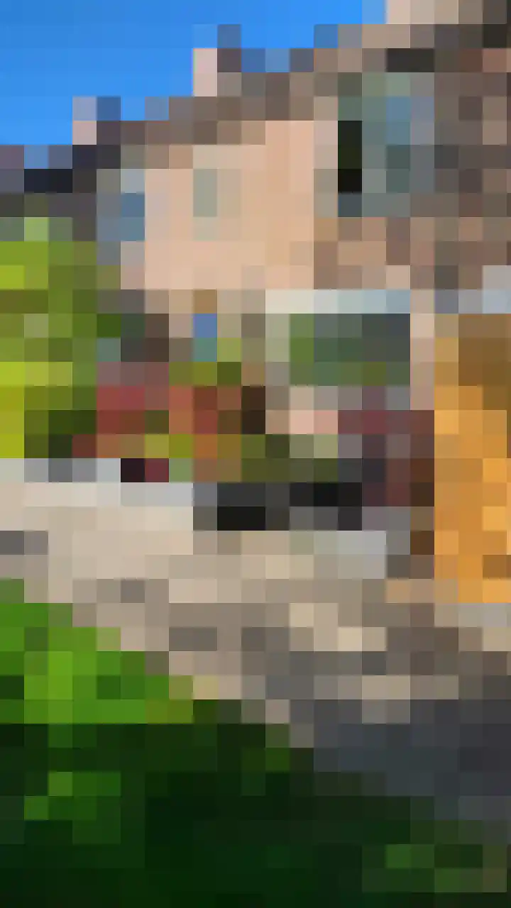 Kwartelstraat 7 Norg thumbnail 41