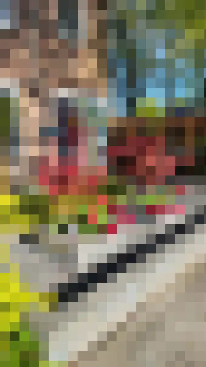 Kwartelstraat 7 Norg thumbnail 42