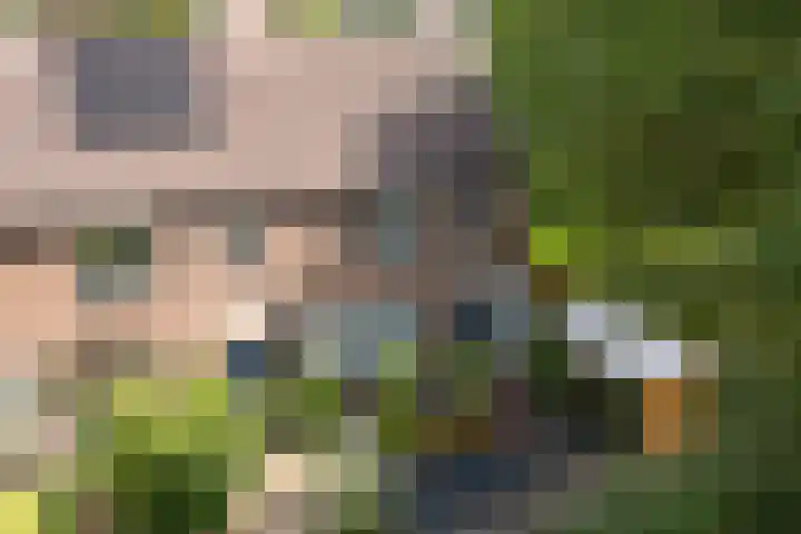 Kwartelstraat 7 Norg thumbnail 43